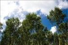 Blue sky and clouds