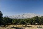 Mount Hermon