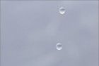 Water drop