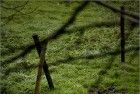 Barbed wire reflection