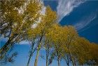 Autumn colours