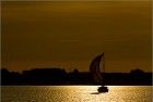 Sailing on Gooimeer