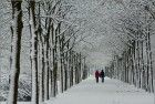 Snowy road