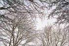 Wide angle snowy road