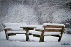 Snowy bench