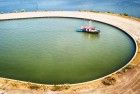 Tulip island near Zeewolde from my drone