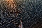 Sailing home during sunset