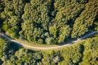 Late summer top-down drone picture of bending road