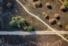 Crossroads on Bussumerheide