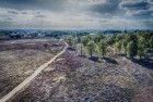 Bussumerheide from my drone