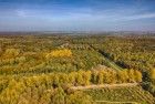 Autumn colours from my drone