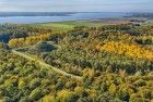 Autumn colours in the trees, as seen from my drone