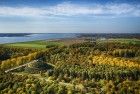 Groups of yellow trees near Almere Boven