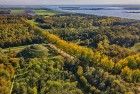 Autumn lane from my drone
