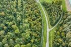 Some autumn trees from the sky