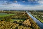 Autumn trees from my drone