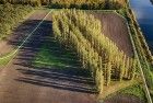 Droning over De Groene Kathedraal