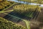 De Groene Kathedraal as seen from my drone