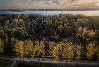 Colourful trees during sunset