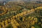 Autumn trees and Almere-Boven