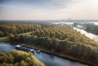 Autumn trees from my drone