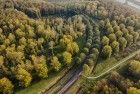 Autumn colours from my drone