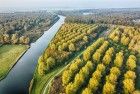 Autumn trees from my drone