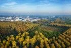 Drone parnorama of autumn colours