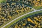 Top-down drone picture of autumn trees