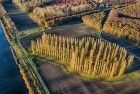 De Groene Kathedraal from my drone