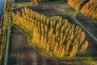 Autumn colours at De Groene Kathedraal