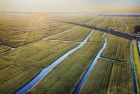 Flat fields around Weesp during sunset