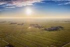 Fields near Bunschoten-Spakenburg