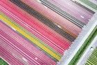 Tulip field by drone near Almere