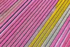 Tulip field by drone near Almere