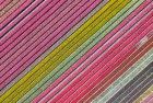 Tulip field by drone near Almere