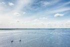 Sailing boats on lake Gooimeer