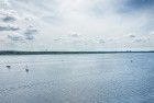 Sailing boats on lake Gooimeer