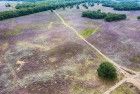 Bussumerheide from my drone