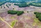 Bussumerheide from my drone