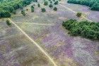 Bussumerheide from my drone