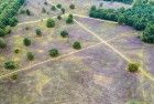 Bussumerheide from my drone