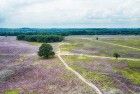 Bussumerheide from my drone