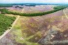 Bussumerheide from my drone