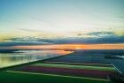 Drone tulips during sunset