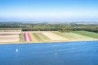 Tulip field next to lake Gooimeer