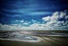 Beach on Terschelling