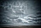 Cloudy day on Terschelling