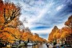 Autumn trees in Amsterdam