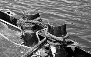 Ropes in black & white